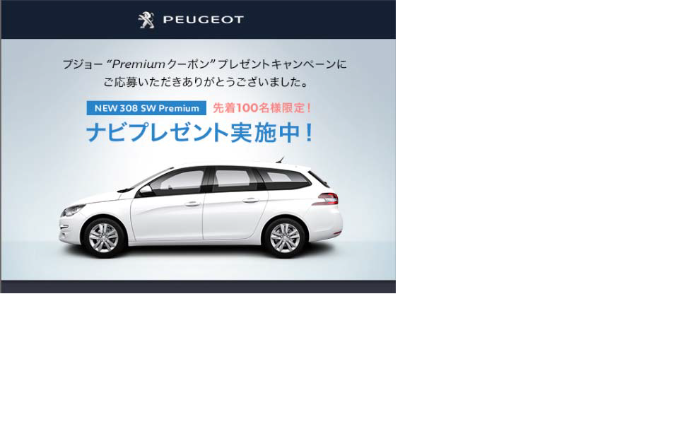 25万円購入サポートクーポン