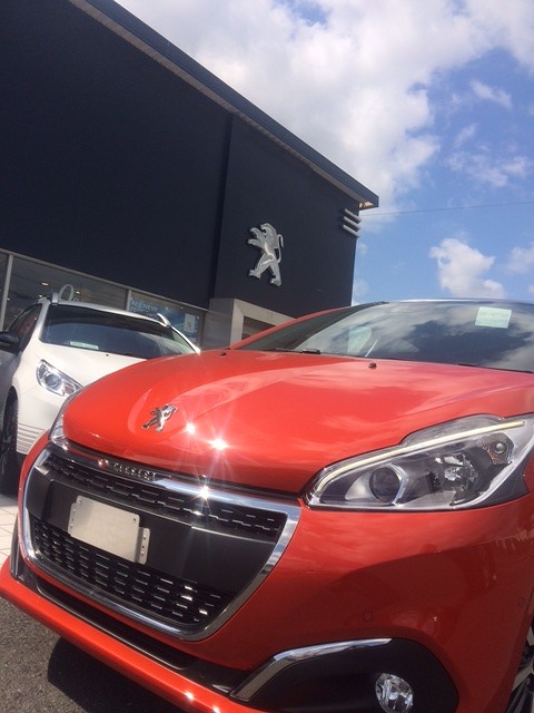 208 オレンジパワー入荷