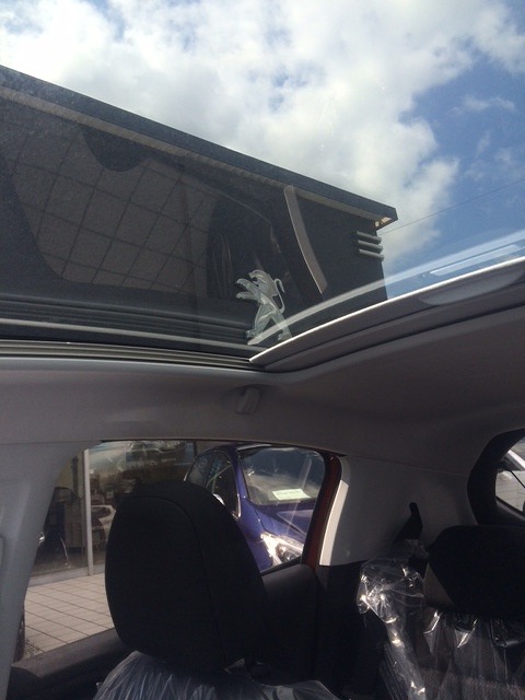 208 オレンジパワー入荷