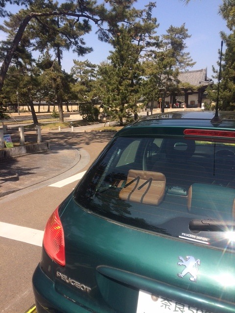 奈良のゆるキャラ『　雪丸　』