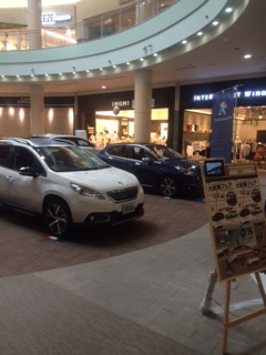 イオンモール展示会！！