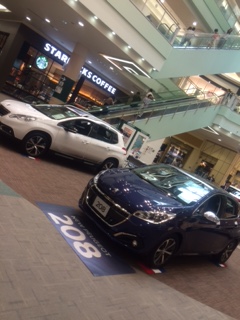 イオンモール展示会！！