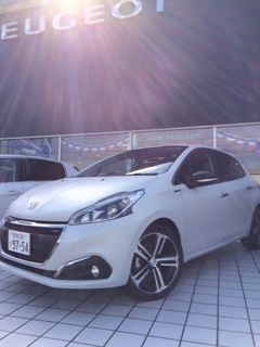 208 GT-line ICE EDITION 