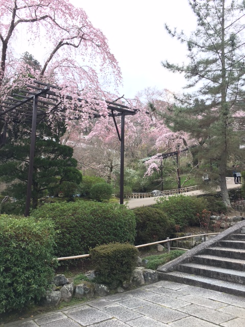 もうすぐ・・・