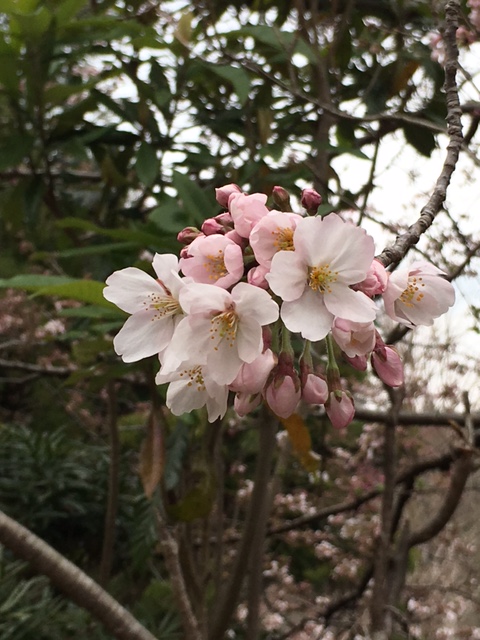 もうすぐ・・・