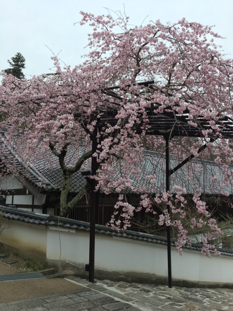 もうすぐ・・・