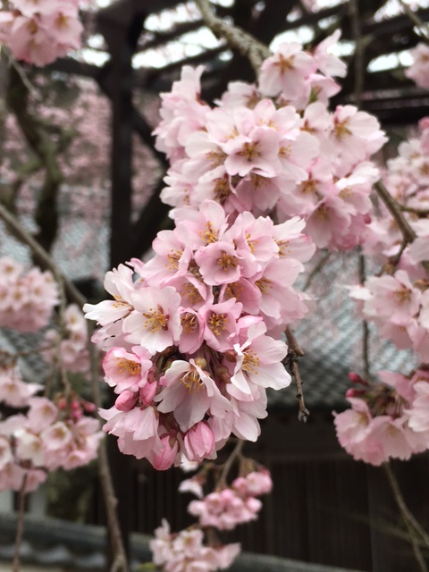 もうすぐ・・・