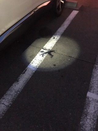 やっぱりかっこいいですよね