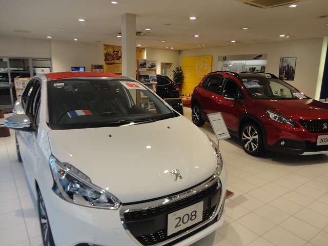 ショールーム展示