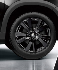 2008 GT Line Black＆White Edition