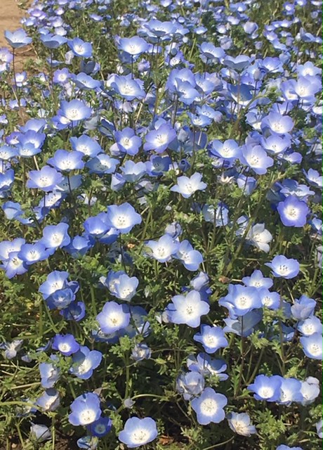 大型連休も終わり。。。