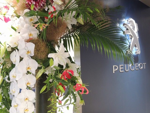 リニューアルオープン