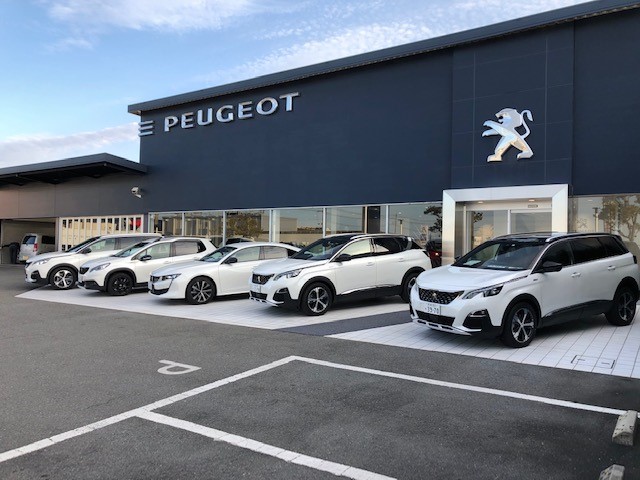 白　白　白　白色のPEUGEOT　試乗車勢ぞろい！
