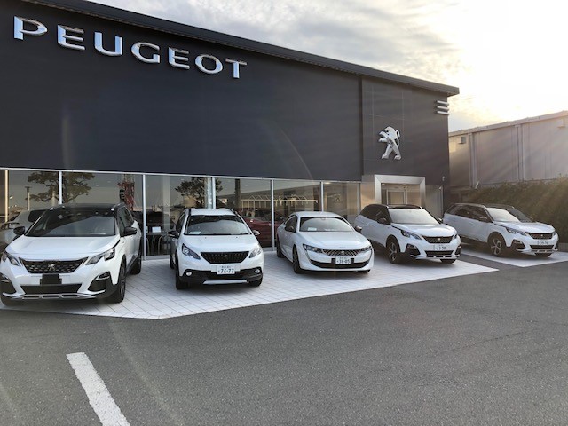 白　白　白　白色のPEUGEOT　試乗車勢ぞろい！