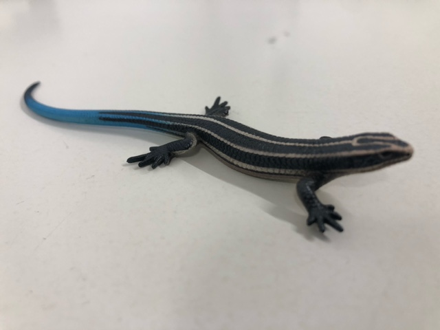 ２９の日（福の日）雨にも負けず！！ご納車ありがとうございます