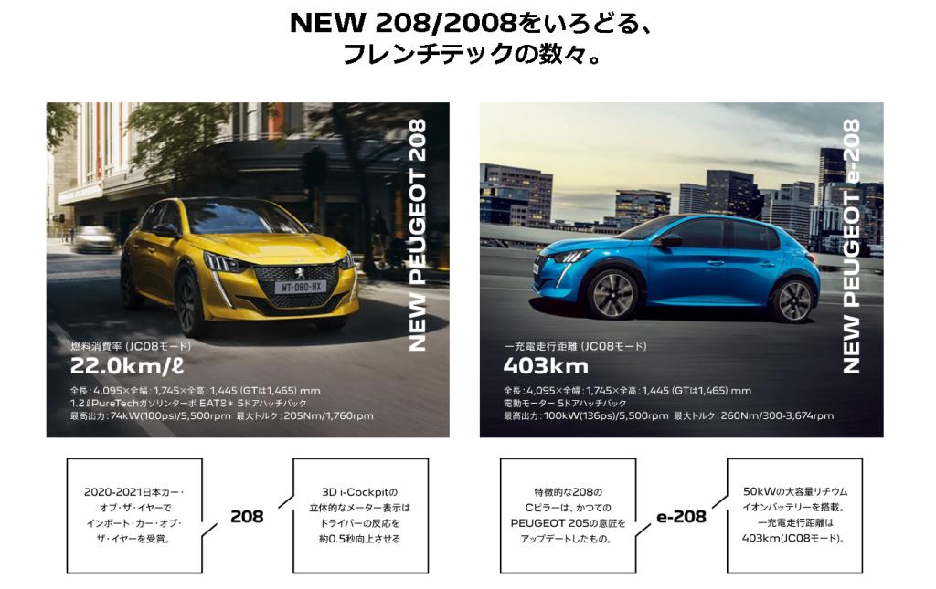 ちいさなライオンフェア開催中です🦁