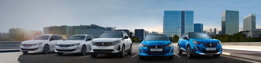 PEUGEOT奈良での 点検・試乗・商談のご予約のご案内 🦁