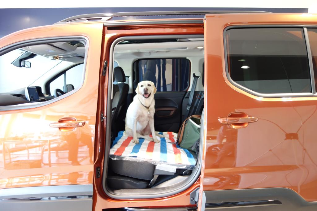PEUGEOT『Rifter GT』ご納車ありがとうございます🐶