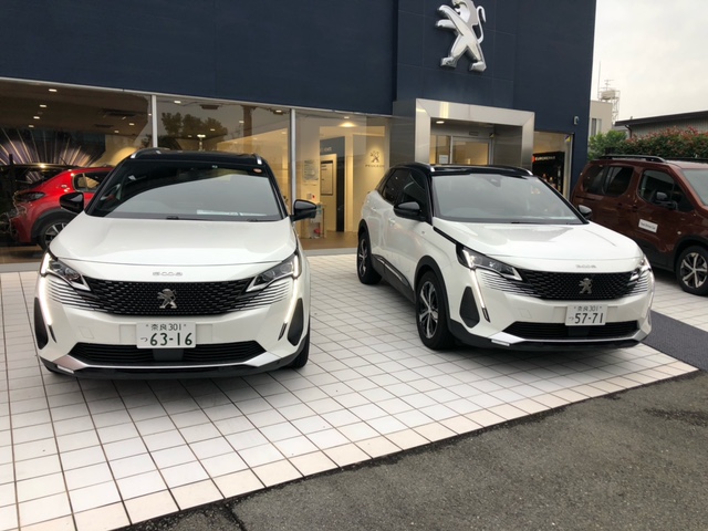 あ～きの夜長に・・・　秋～の夜長に・・・　ＰＥＵＧＥＯＴ夜の顔！！第三弾。