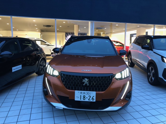 あ～きの夜長に・・・　秋～の夜長に・・・　ＰＥＵＧＥＯＴ夜の顔！！第三弾。