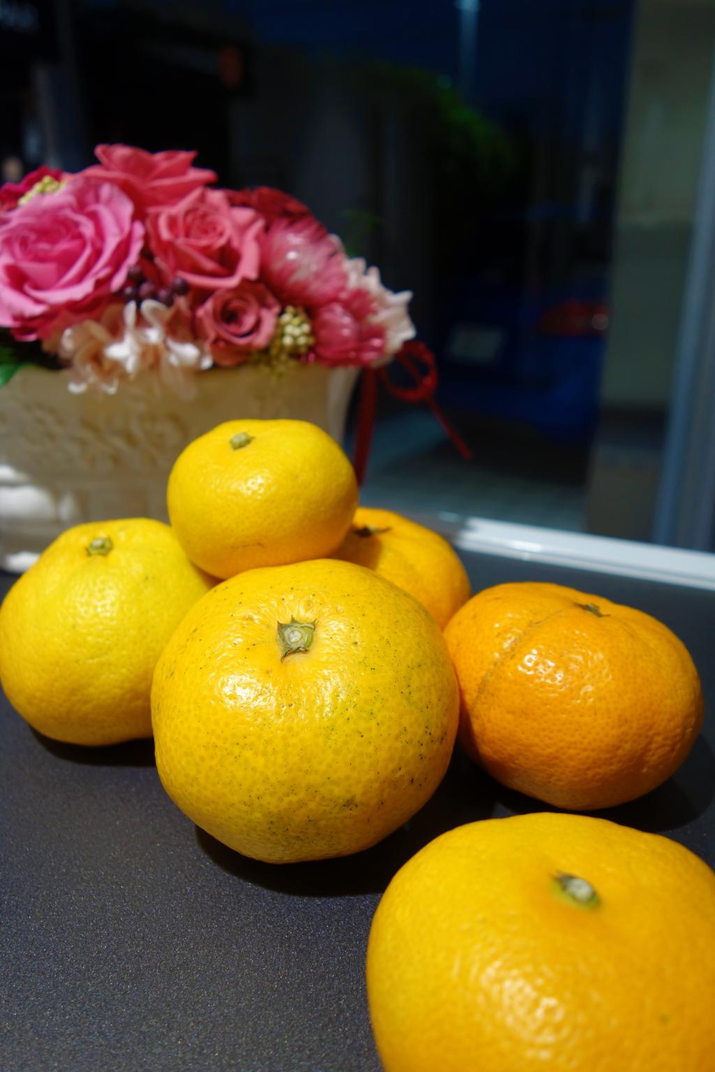 嬉しい差し入れを頂きました🍊