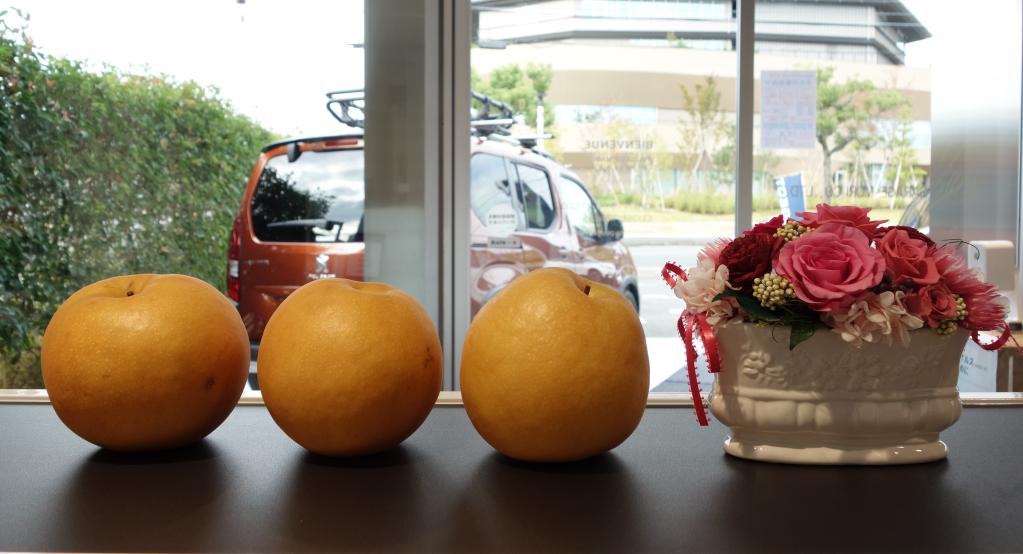 嬉しい差し入れをありがとうございました🍏