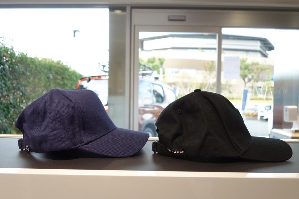 インコを頭に乗せる衣装とは…🐦