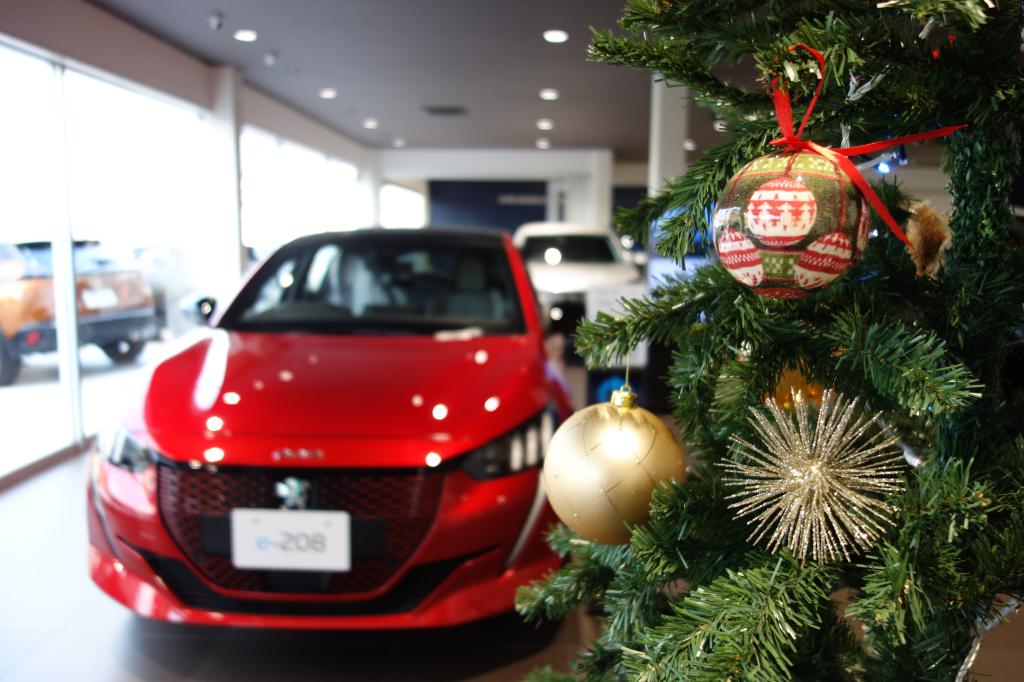 一足お先にツリーを展示しました🎄🌟