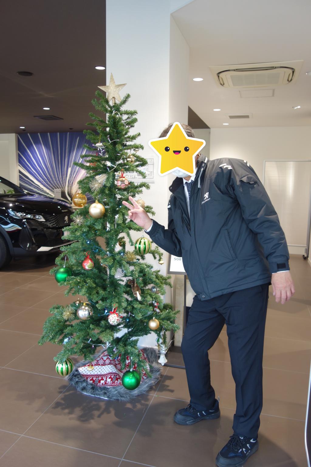 一足お先にツリーを展示しました🎄🌟