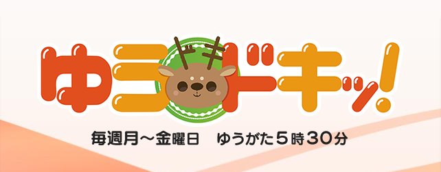 11/28(日) 洗車フェア ＆ 11/29 (月) 奈良テレビ『ゆうドキッ！』にて中継されます📺
