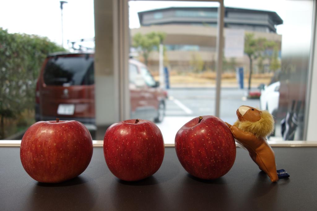 嬉しい差し入れをありがとうございました🍎