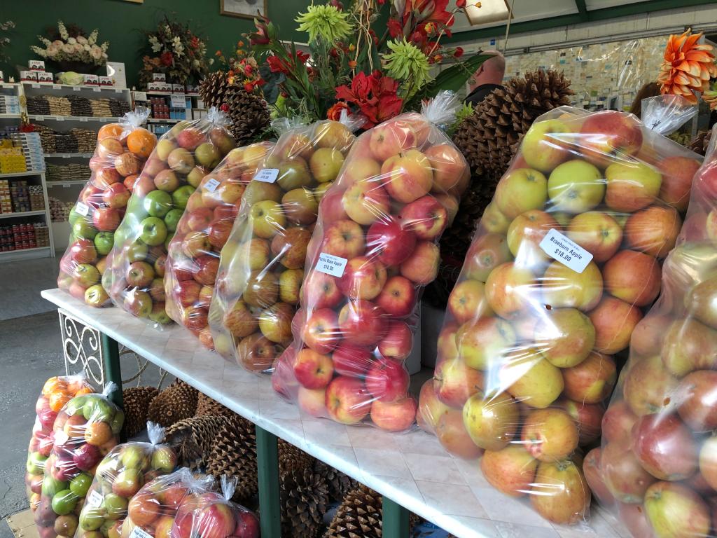 嬉しい差し入れをありがとうございました🍎