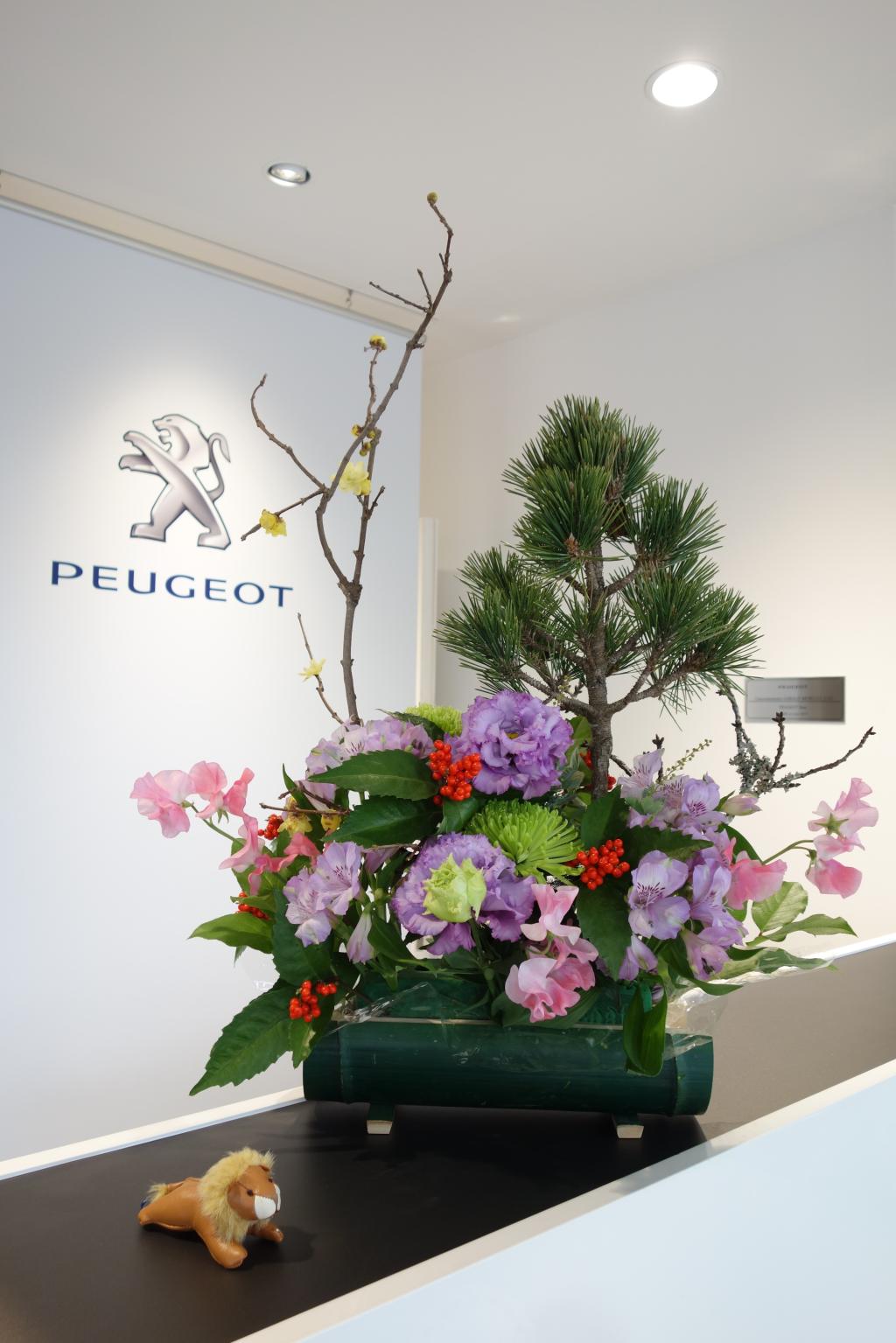 PEUGEOT奈良 本日から始動です🐅