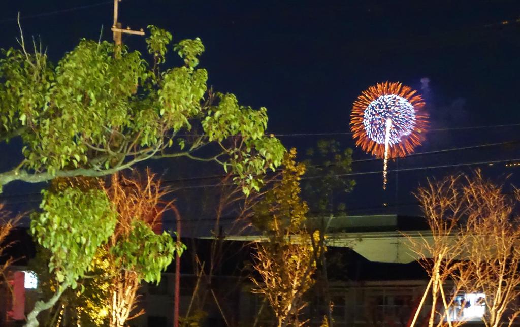 若草山の山焼 ご覧になられましたか？🎆