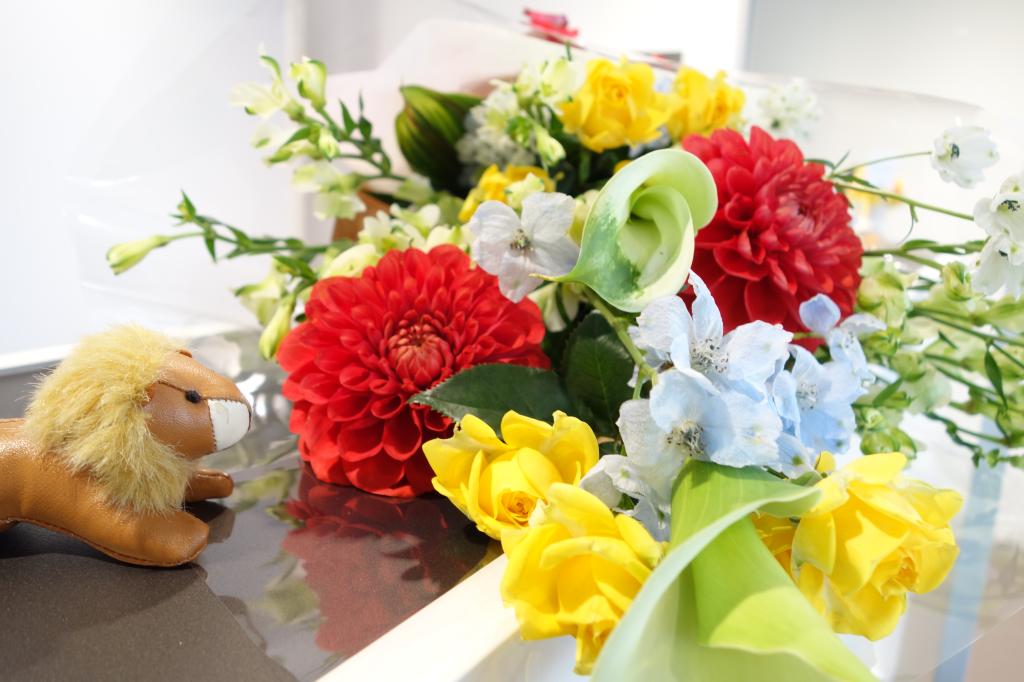 かわいいダリアのお花が到着いたしました✿