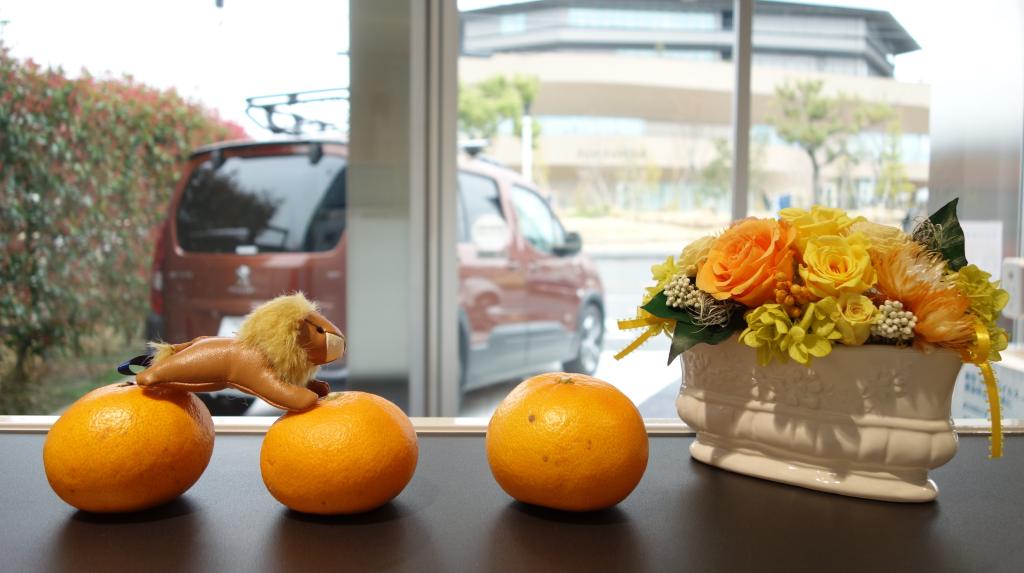 嬉しい差し入れをありがとうございました🍊