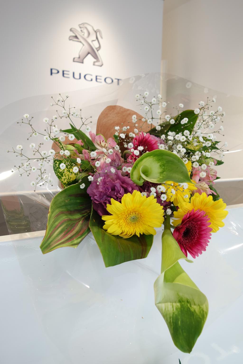 可愛いらしいお花が到着いたしました💐