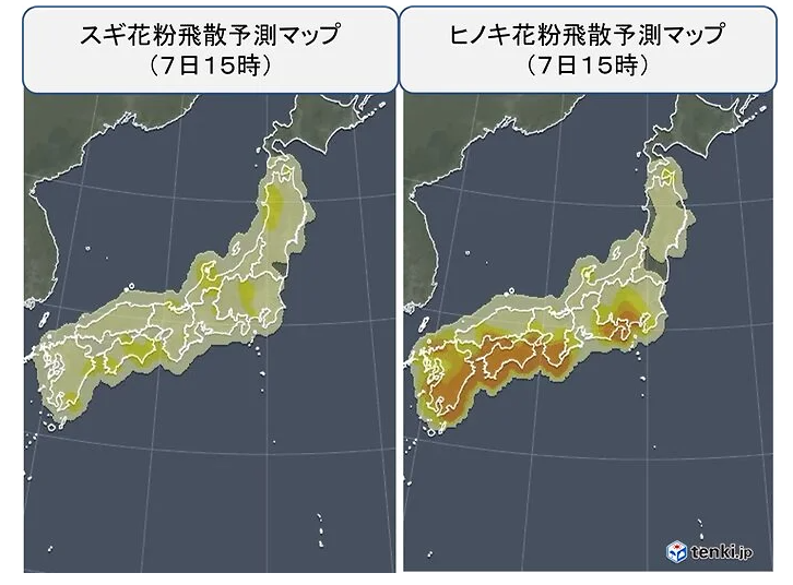 ヒノキとスギのピークだそうです🦠