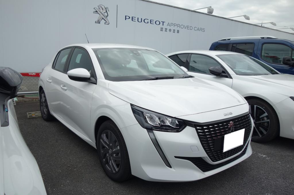 はじめて見ました👀