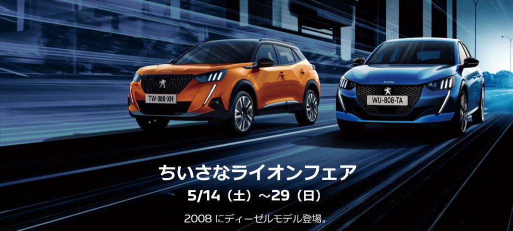 ～5/29(Sun)【ちいさなライオンフェア】開催中です🎪