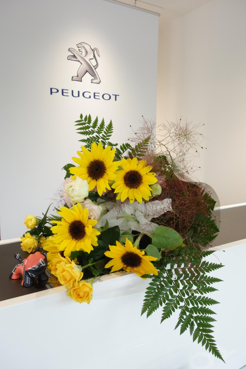 初夏を思わせるお花が到着いたしました🌻