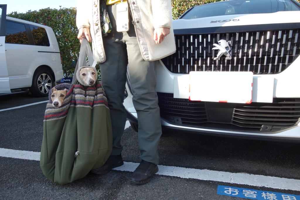 完全防寒⛄ワンちゃん達のご来店です🐶