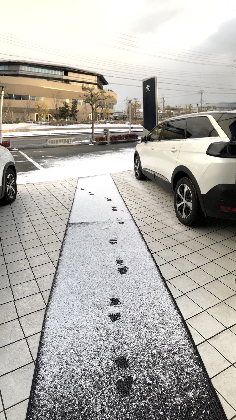 朝5時起きでとてもとても眠いです😑