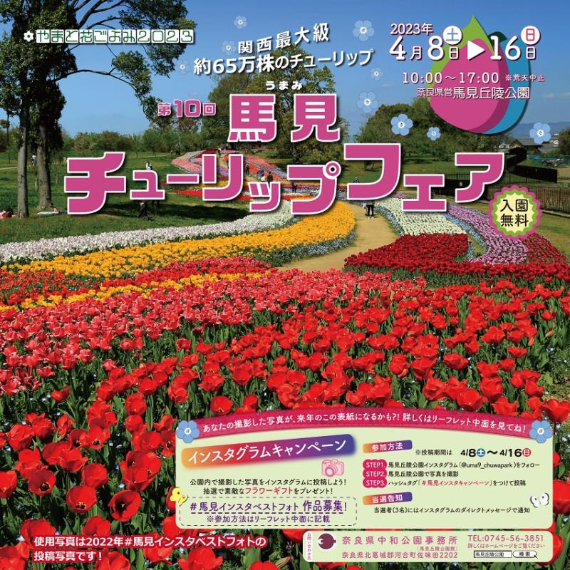 【やまと花ごよみ2023】　第10回馬見チューリップフェア🌷