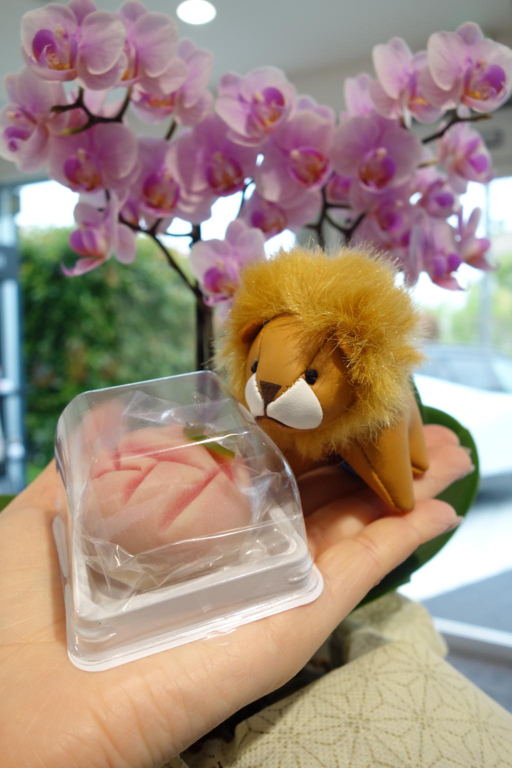 美しく可愛い上生菓子を差し入れていただきました🍡