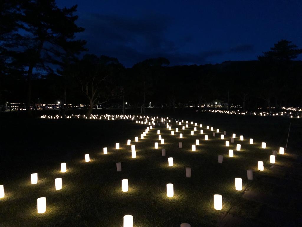 なら燈花会行ってきました🌟