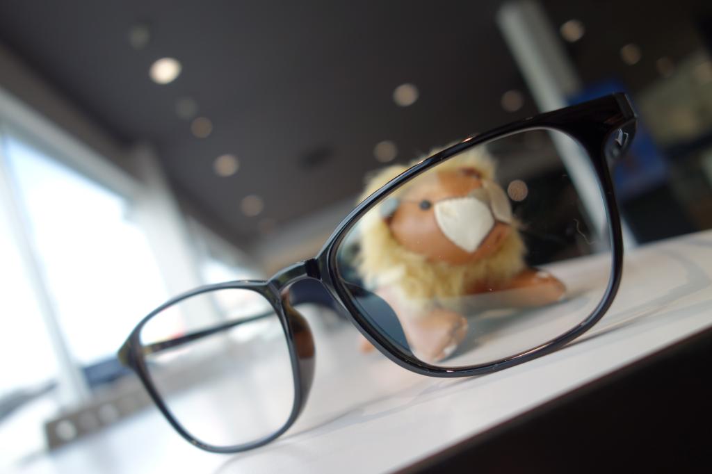 👓Aさんとヴィクトルくん🦁