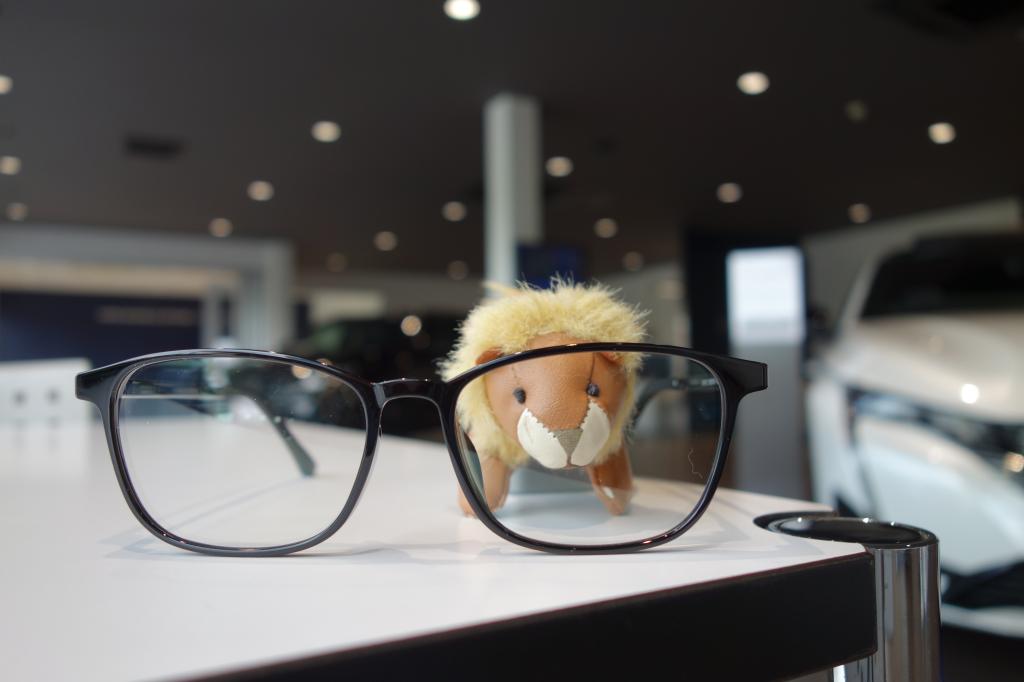 👓Aさんとヴィクトルくん🦁