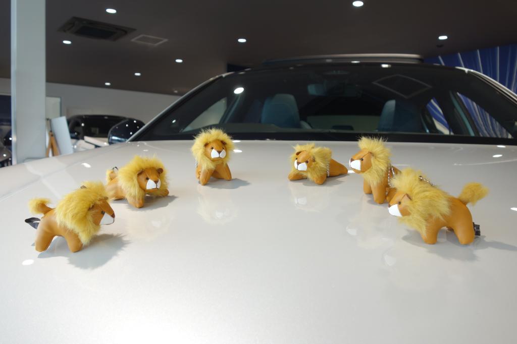 ヴィクトル君たちが到着いたしました🦁