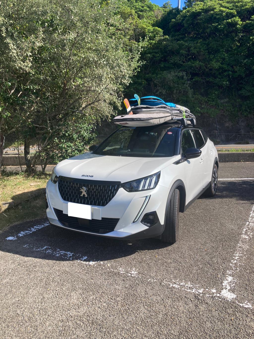 夏はサーフィン🏄🏻‍♂️、冬は蟹🦀